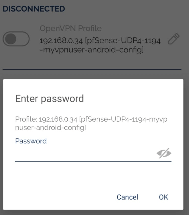 Entering VPN password Entering VPN password