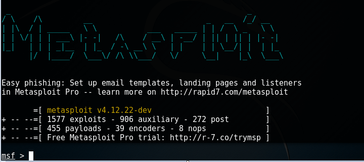 Metasploit console Metasploit console