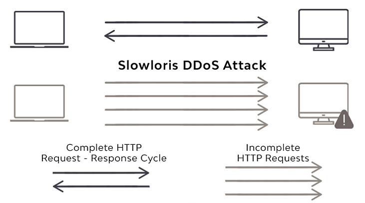 Slowloris DDoS Attack Slowloris DDoS Attack