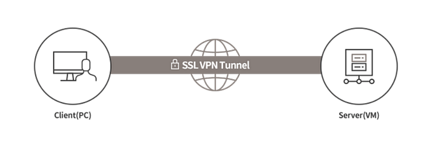 SSL VPN