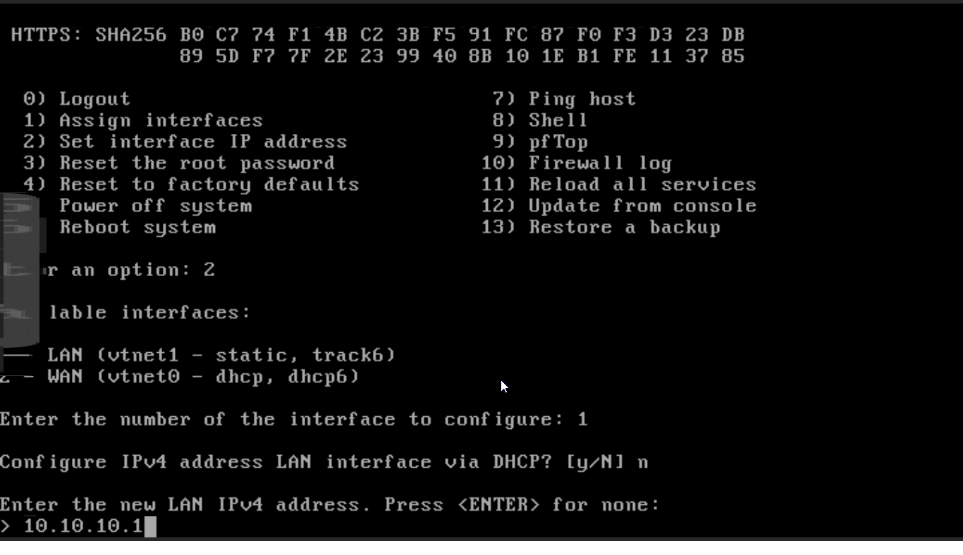 Setting IP address for LAN interface on OPNsense CLI